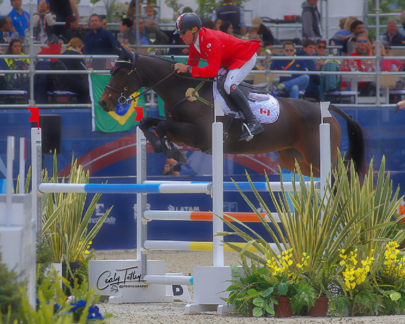 Santiago 2023: Eventing Show Jumping Puts Canada on Top of the Podium